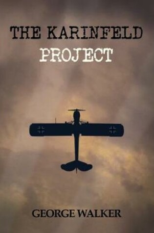 Cover of The Karinfeld Project