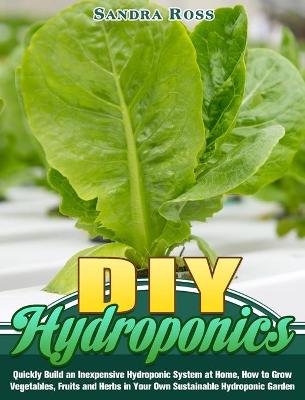 Book cover for DIY Hydroponics