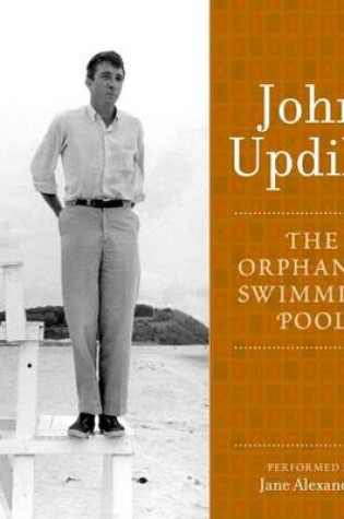 Cover of The Orphaned Swimming Pool