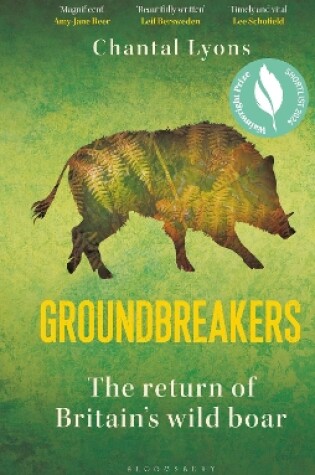 Cover of Groundbreakers