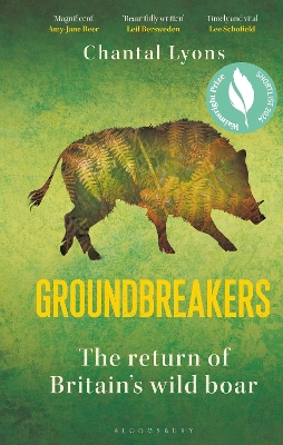 Book cover for Groundbreakers