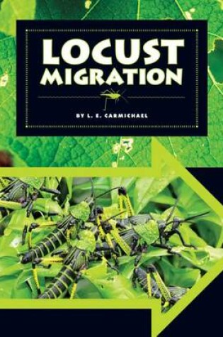 Cover of Locust Migration