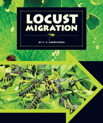 Cover of Locust Migration