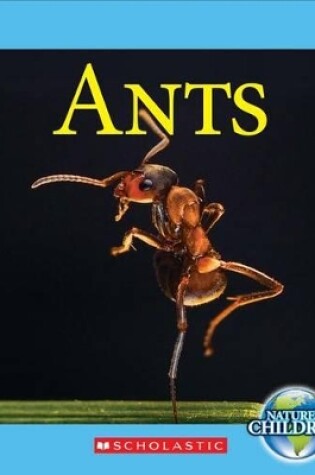 Cover of Ants (Nature's Children)