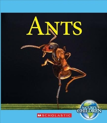 Book cover for Ants (Nature's Children)