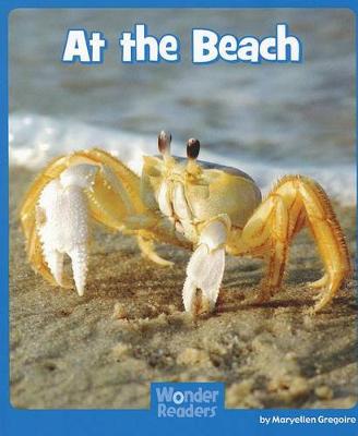 Cover of At the Beach