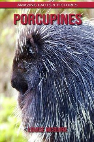 Cover of Porcupines