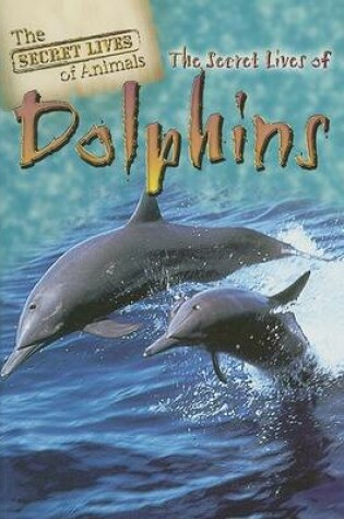 Cover of The Secret Lives of Dolphins