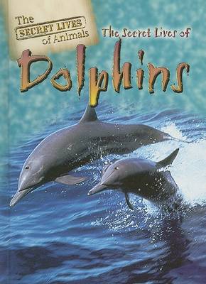 Cover of The Secret Lives of Dolphins