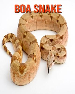 Book cover for Boa Snake