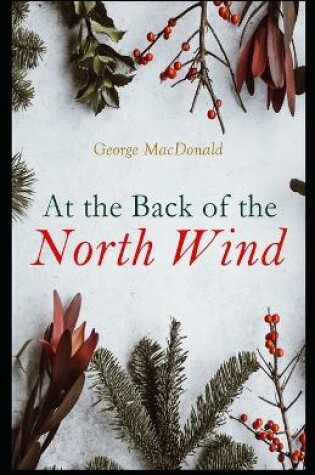 Cover of At the Back of the North Wind(illustrated)edition