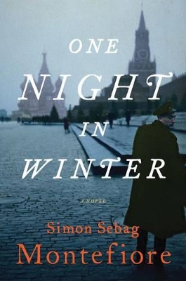 Book cover for One Night in Winter