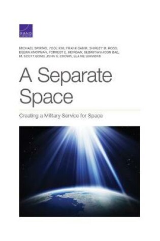 Cover of Separate Space