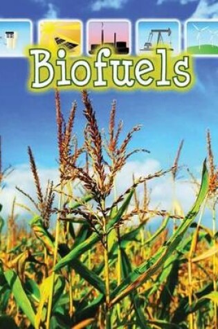 Cover of Biofuels