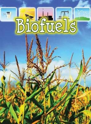 Book cover for Biofuels