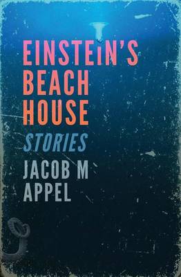 Book cover for Einstein's Beach House