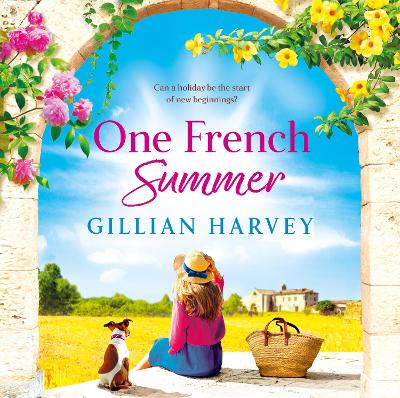 Book cover for One French Summer