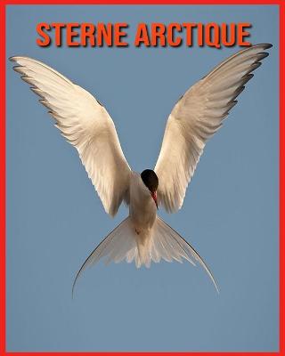 Book cover for Sterne Arctique