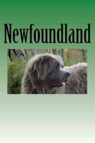 Cover of Newfoundland