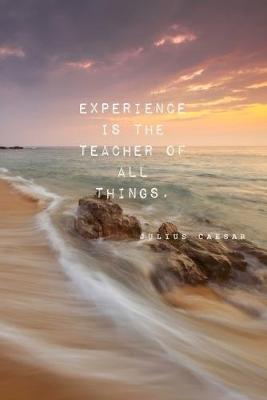 Book cover for Experience Is The Teacher Of All Things