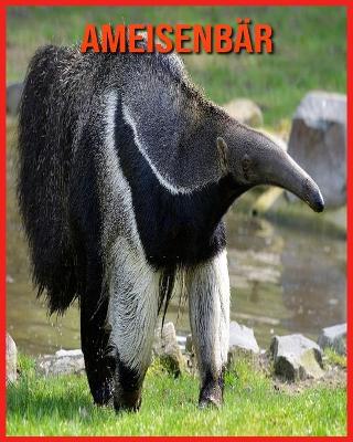 Book cover for Ameisenbär