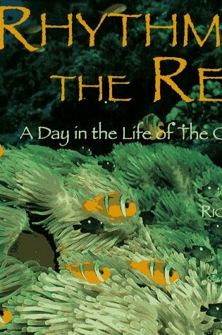 Cover of Secrets of the Coral Reefs