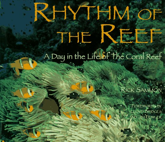 Book cover for Secrets of the Coral Reefs