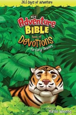 Cover of The Adventure Bible for NIRV
