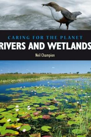 Cover of Rivers and Wetlands