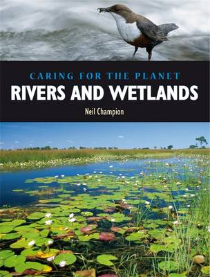 Book cover for Rivers and Wetlands