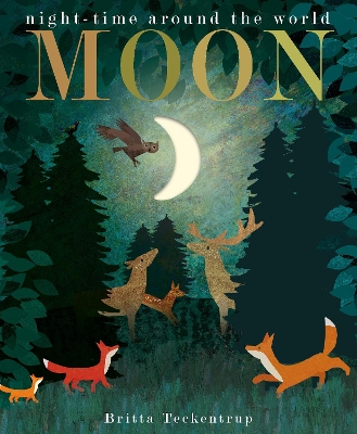 Book cover for Moon