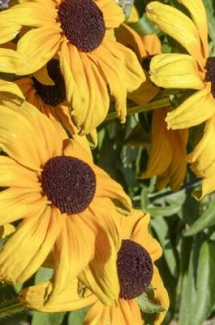 Cover of Cone Flower Blooms, for the Love of Flowers