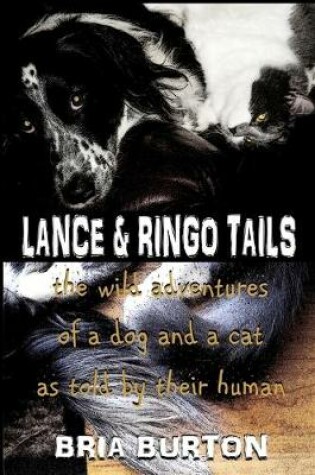 Cover of Lance & Ringo Tails