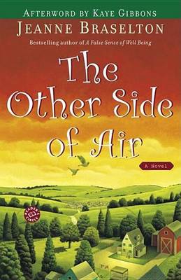 Book cover for Other Side of Air, The: A Novel