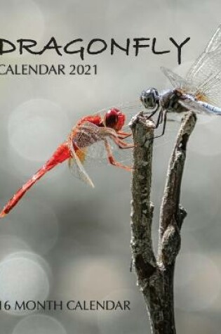 Cover of Dragonfly Calendar 2021