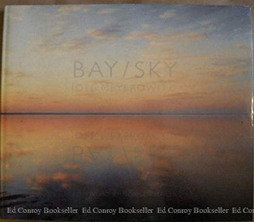 Book cover for Bay/Sky