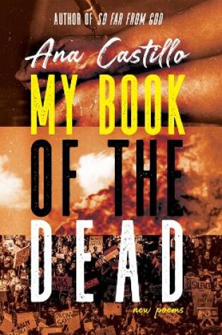 Cover of My Book of the Dead