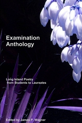 Book cover for Examination Anthology