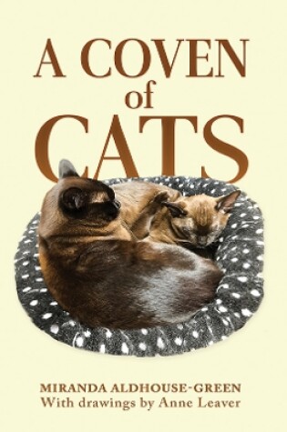 Cover of A Coven of Cats