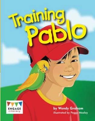 Book cover for Training Pablo 6pk