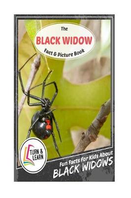 Book cover for The Black Widow Fact and Picture Book