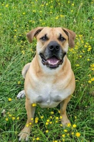 Cover of Boerboel Dog Sitting in the Wildflowers Journal