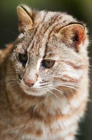 Cover of A Leopard Cat, for the Love of Animals