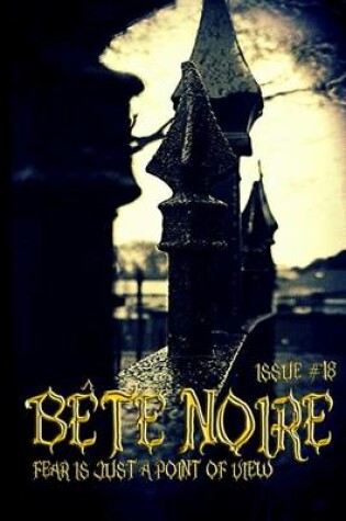 Cover of Bete Noire issue #18