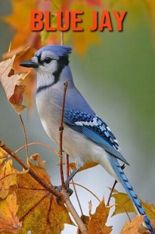 Cover of Blue Jay