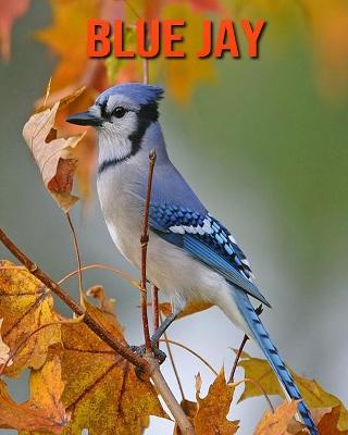 Book cover for Blue Jay