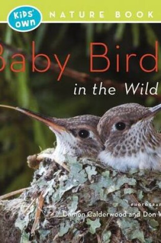 Cover of Baby Birds in the Wild