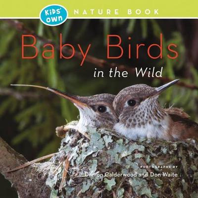 Cover of Baby Birds in the Wild