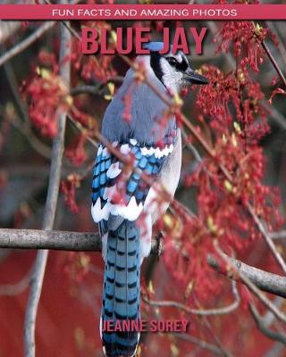 Book cover for Blue Jay