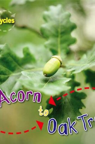 Cover of Acorn to Oak Tree